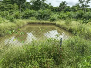 Fish Pond For Sale ( On 16 Plots, 4 Acres Land) Highway Road Side