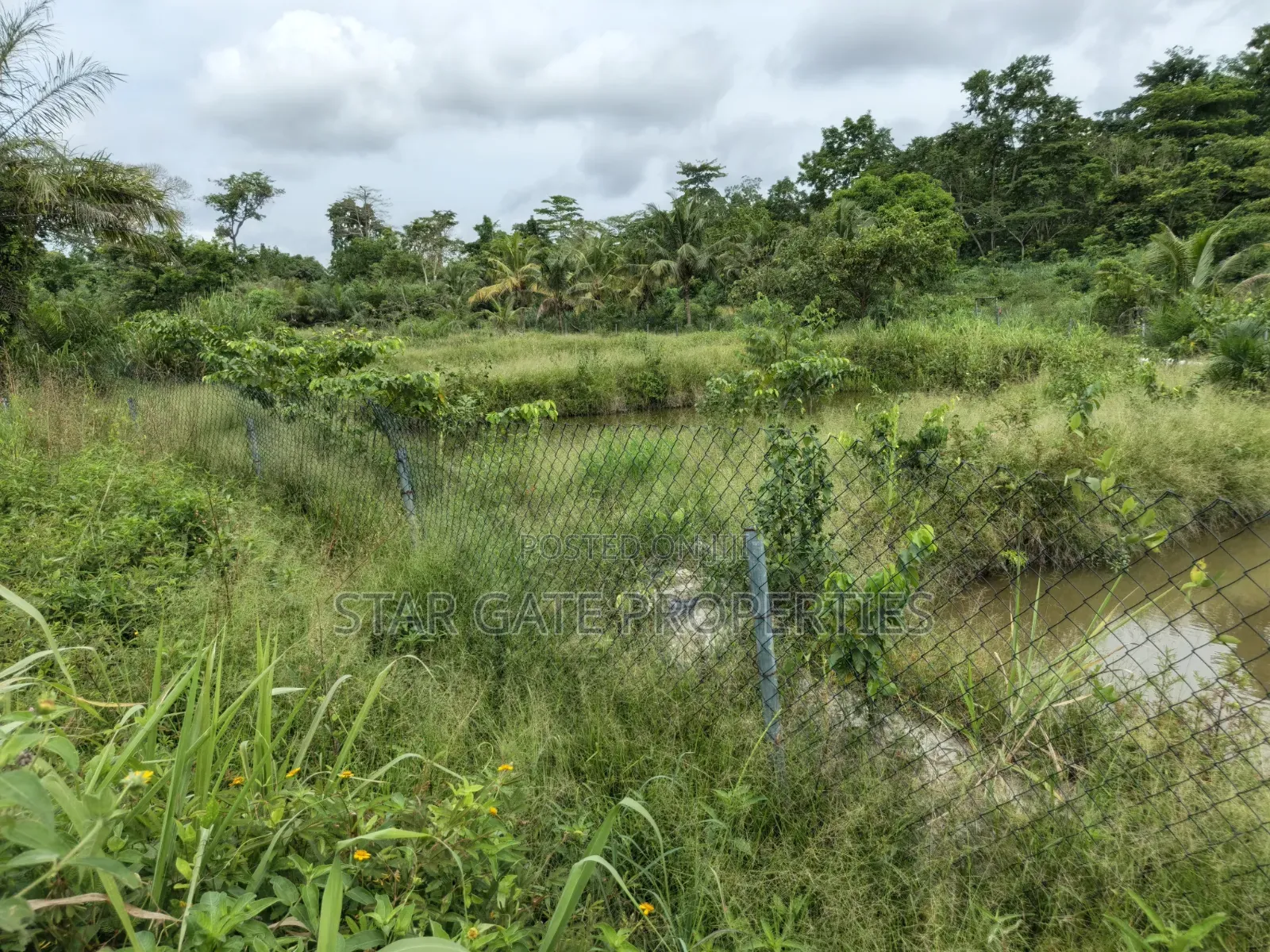 Fish Pond For Sale ( On 16 Plots, 4 Acres Land) Highway Road Side