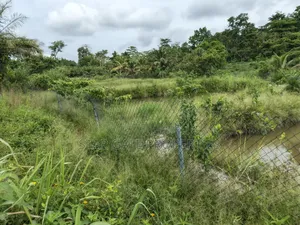 Fish Pond For Sale ( On 16 Plots, 4 Acres Land) Highway Road Side