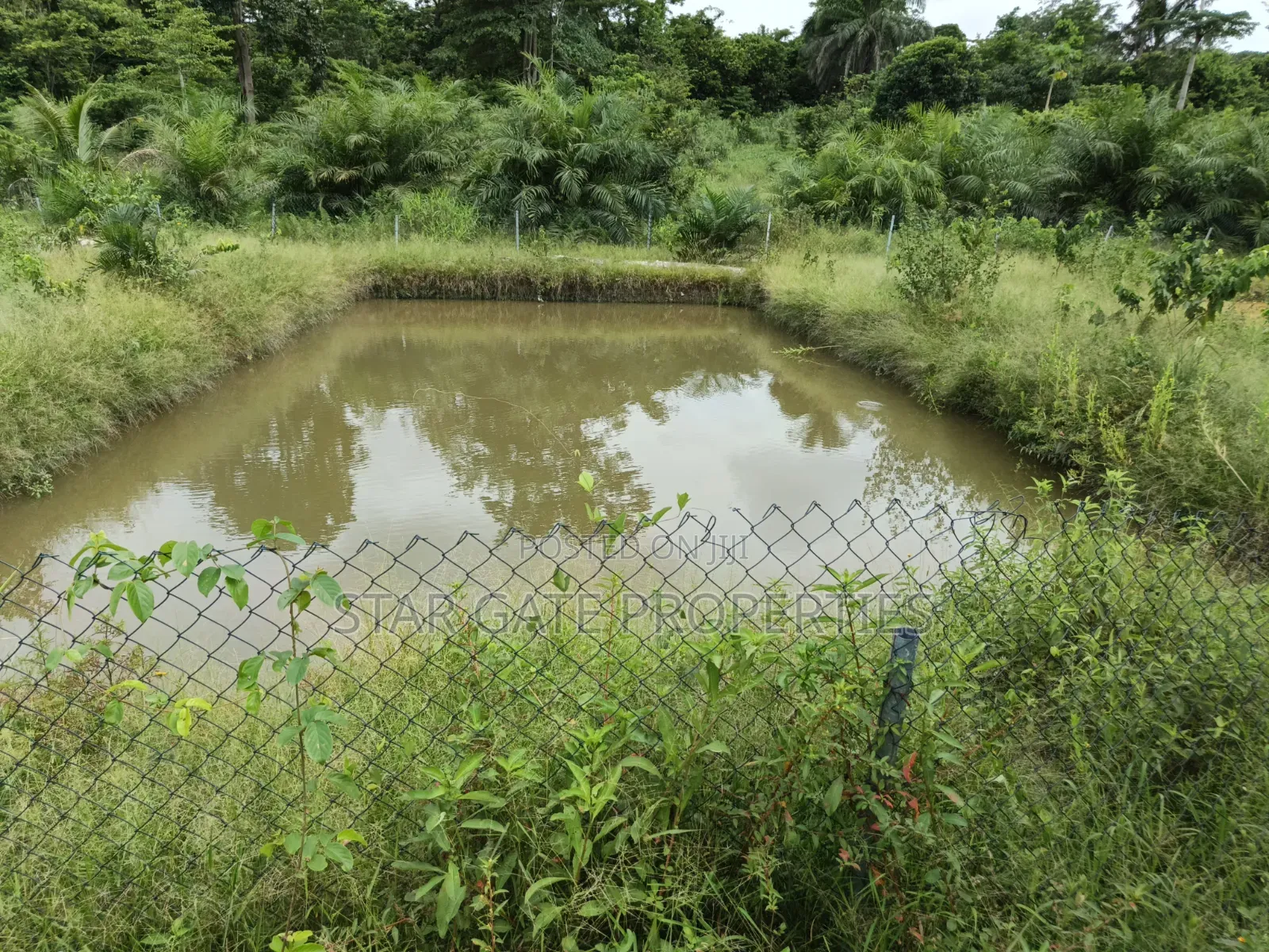 Fish Pond For Sale ( On 16 Plots, 4 Acres Land) Highway Road Side