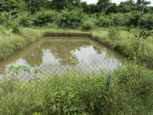 Fish Pond For Sale ( On 16 Plots, 4 Acres Land) Highway Road Side