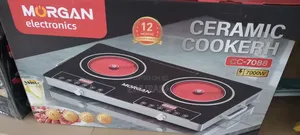 Double Ceramic Hot Plate