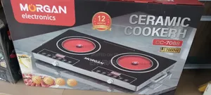 Double Ceramic Hot Plate
