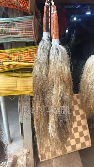 All Kinds of Tails