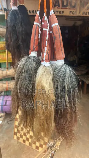 All Kinds of Tails