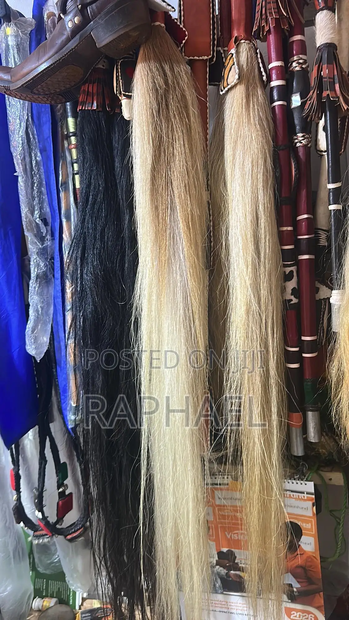 All Kinds of Tails