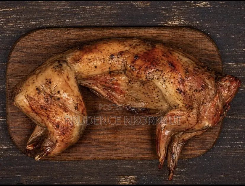 Grilled Rabbit Meat