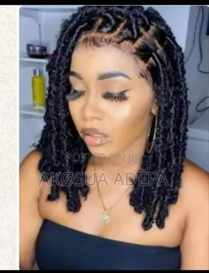 Braided Wigs