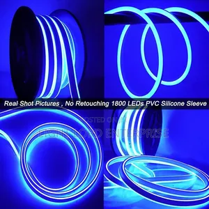 Neon Led Light 100meters Blue Color