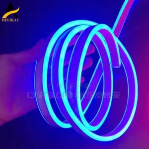 Neon Led Light 100meters Blue Color