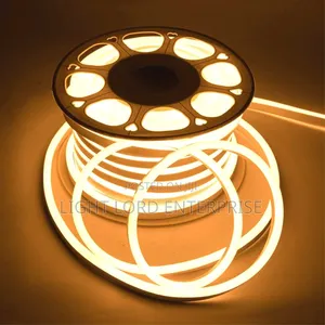 Top 5 Warm Color Neon 100meters