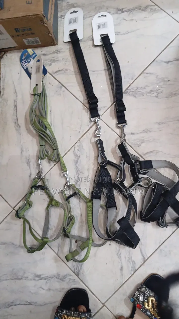 Harness With Leash for Dogs(L)