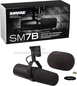 Professional Studio Microphone – Podcast, Broadcast Recording Mic