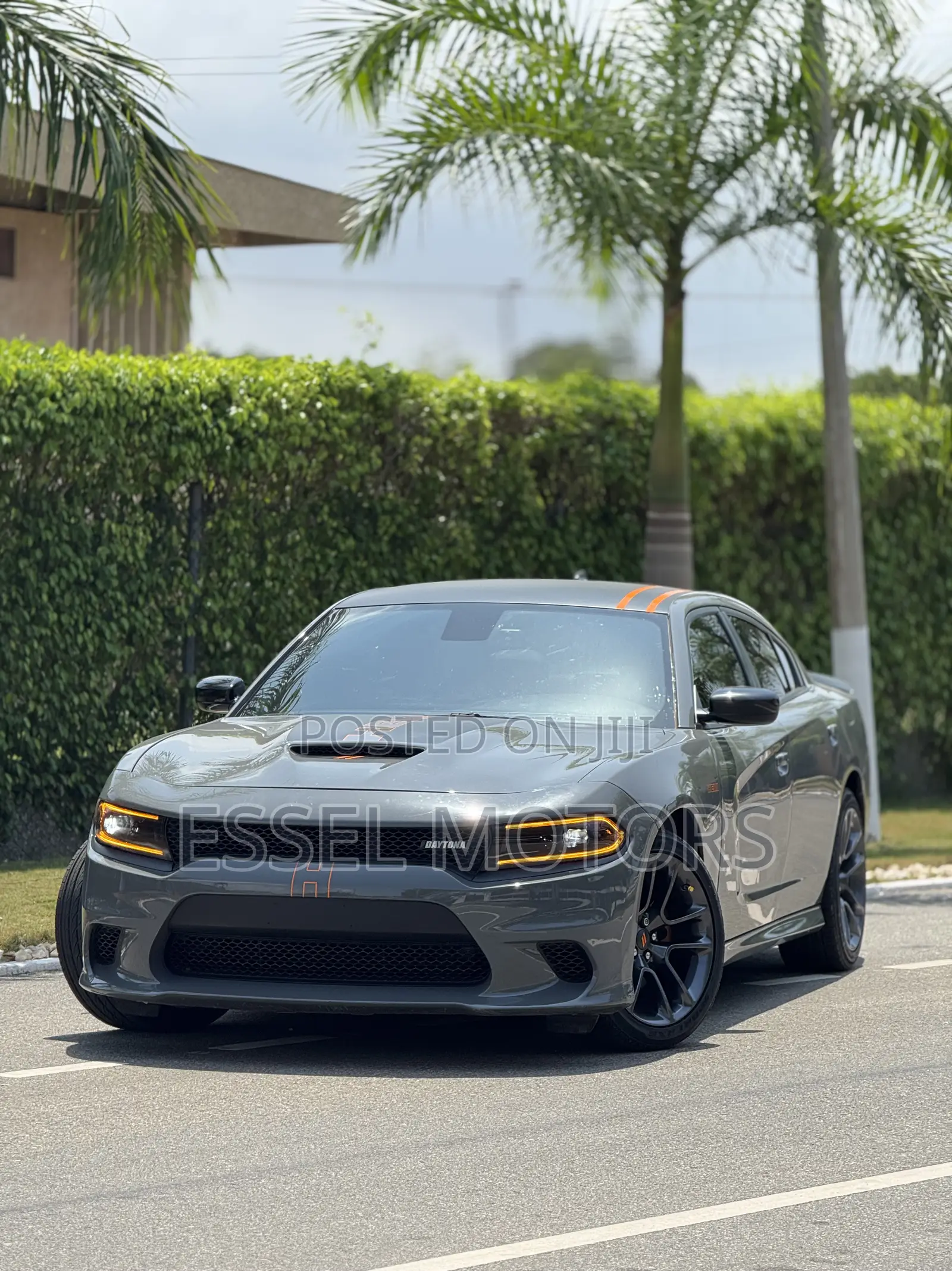 Dodge Charger Daytona 2024 Gray