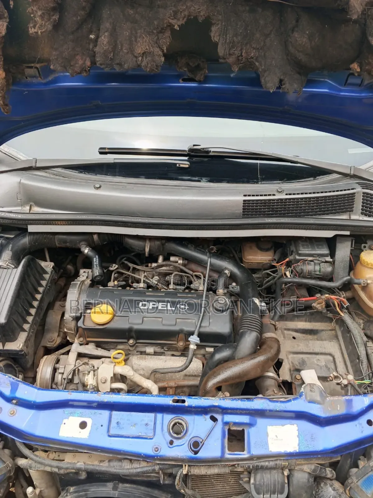 Opel Zafira 2.0T OPC 2010 Blue