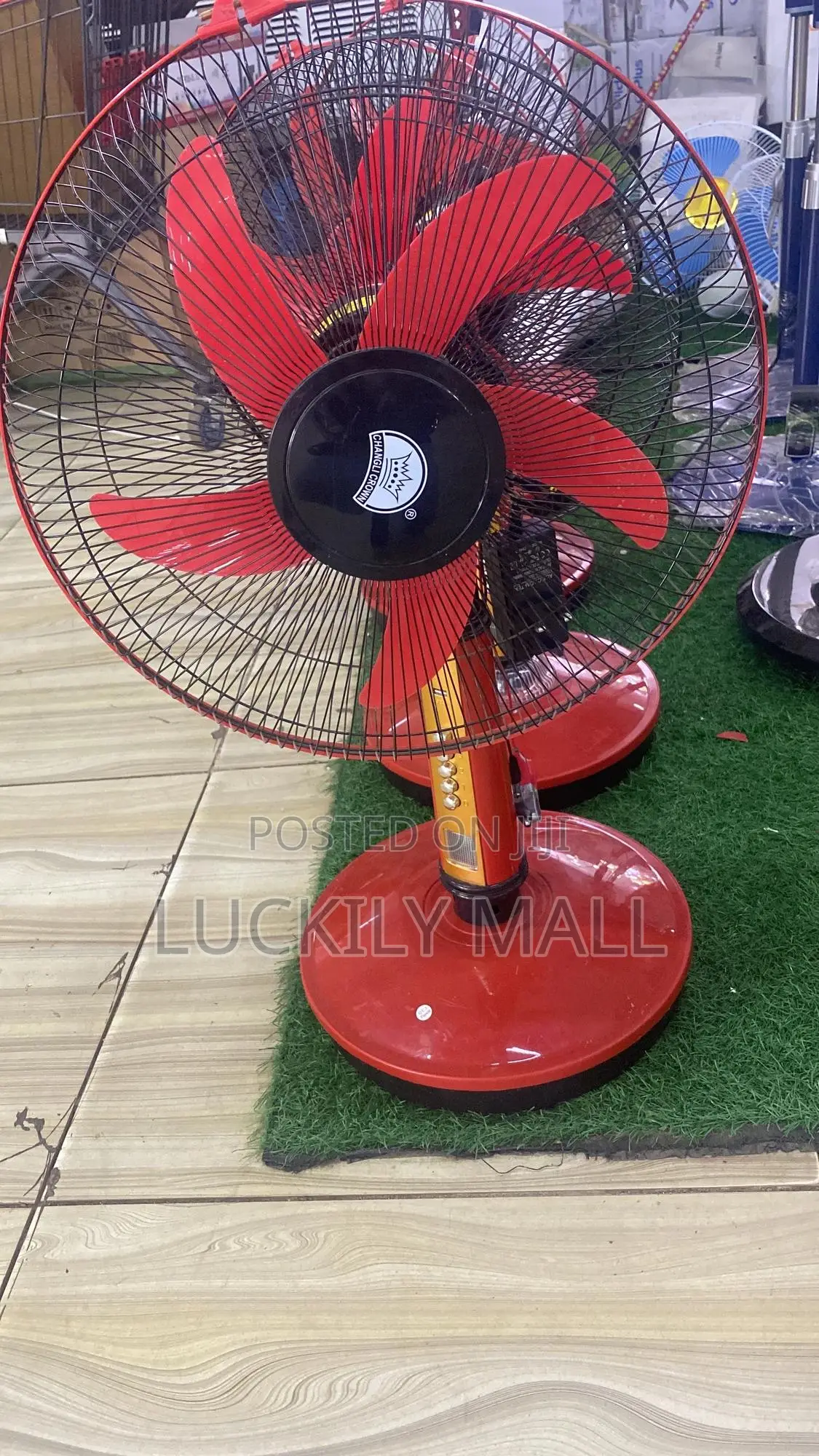 Rechargeable Fan