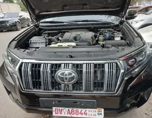 Toyota Land Cruiser Prado 2019 Brown