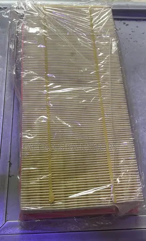 Range Rover Air Cleaner