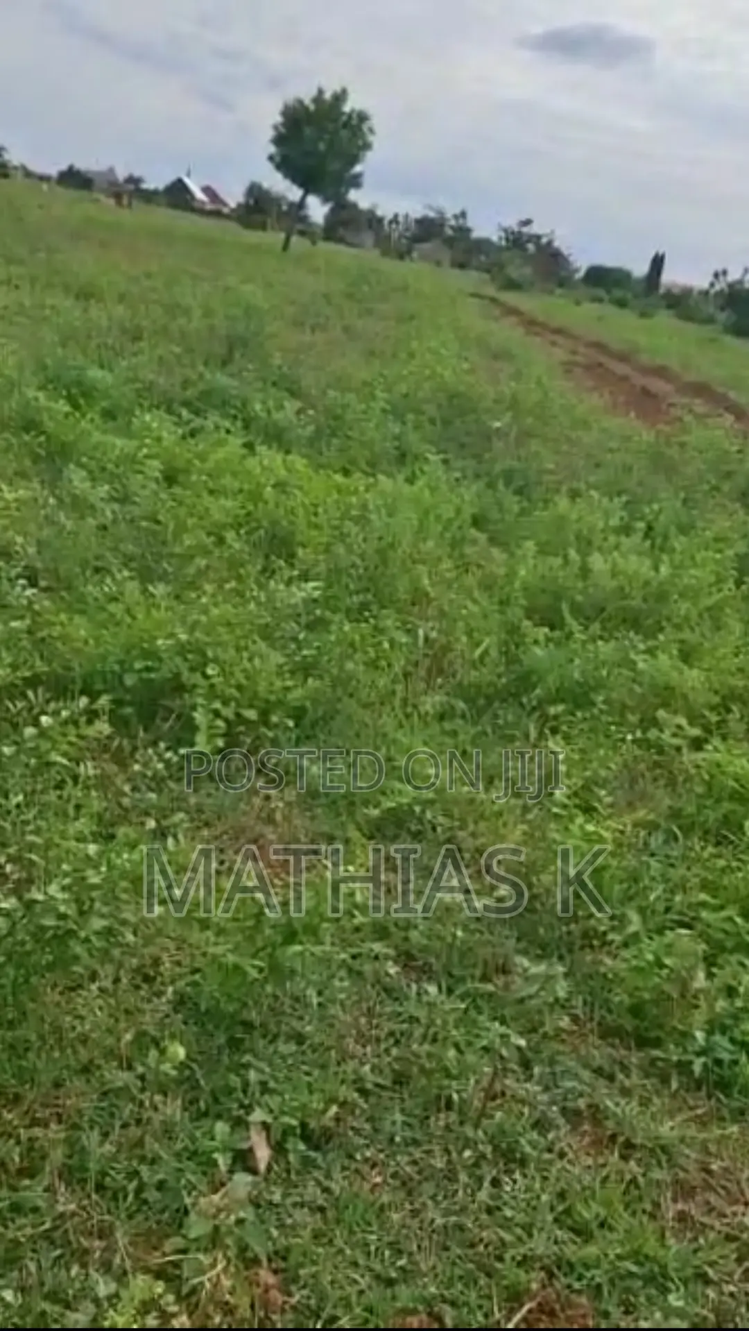 2 Plots Of Land For Sale In Yongduuni