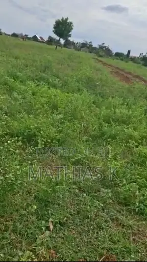 2 Plots Of Land For Sale In Yongduuni