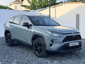 Toyota RAV4 XLE AWD 2020 Gray