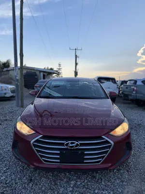 Hyundai Elantra ECO Sedan FWD (1.4L 4cyl 7A) 2017 Red