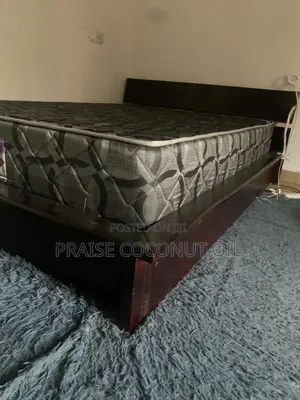 Slightly Used Bed With Mattress Negotiable