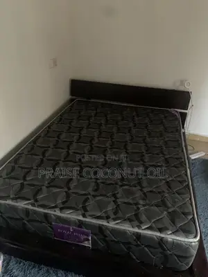 Slightly Used Bed With Mattress Negotiable