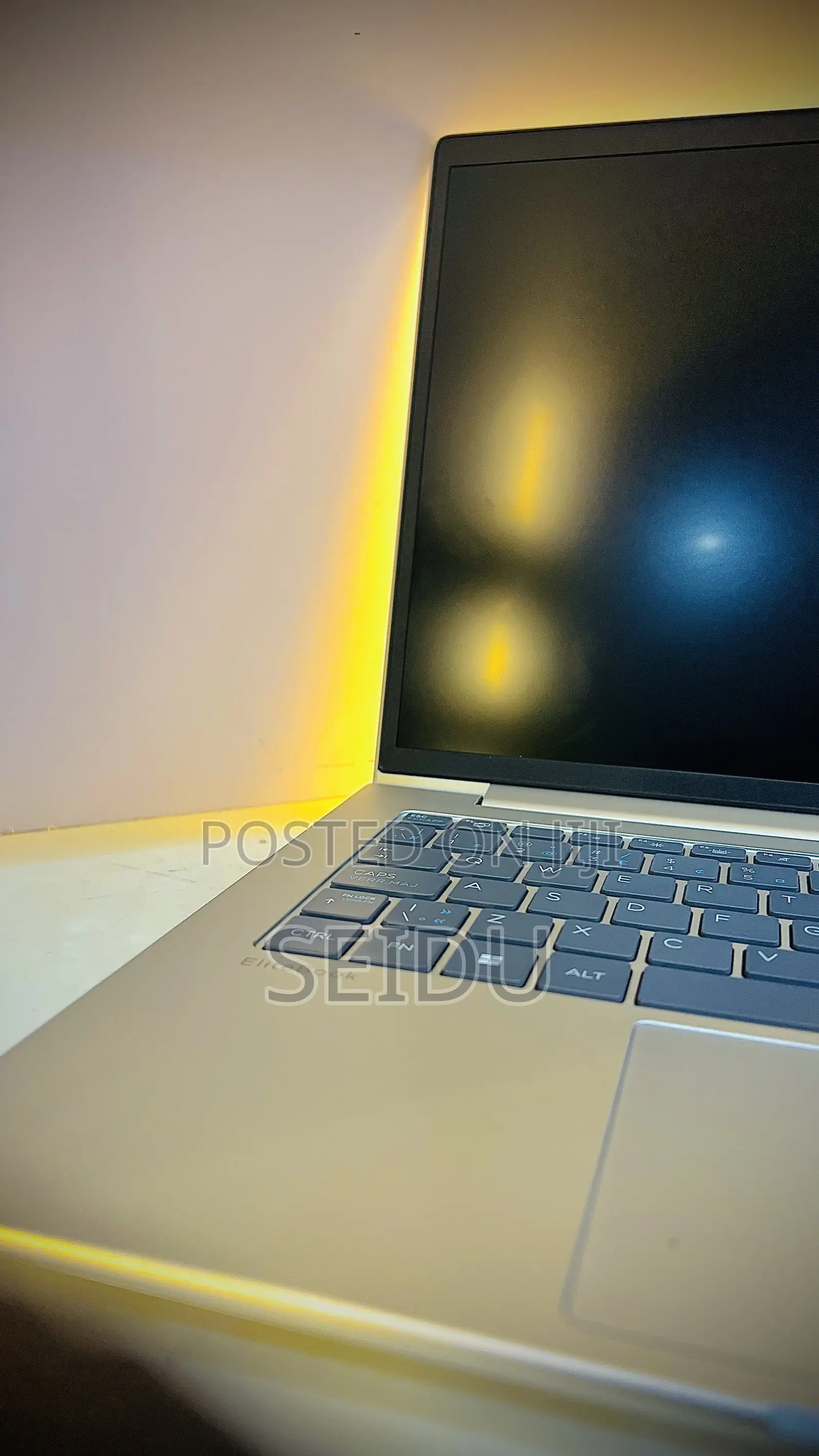 Laptop HP EliteBook 745 G6 8GB AMD SSD 256GB