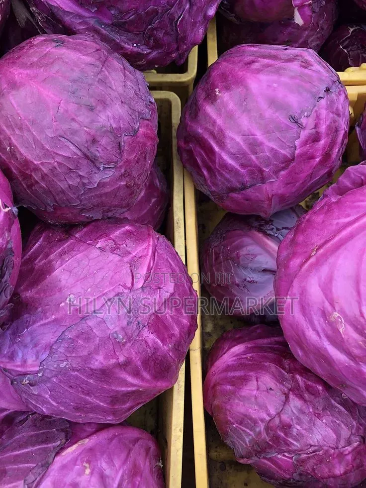 Red Cabbage