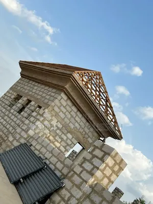 Windows And Parafet