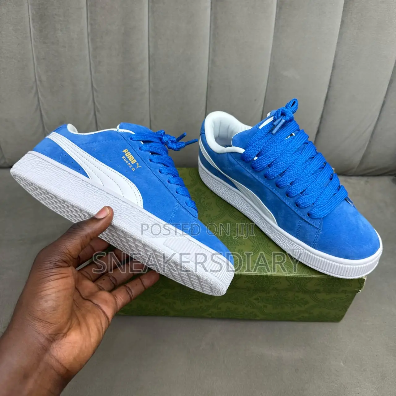 Puma Suede Extra Large Big Lace