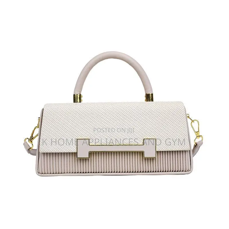 Mini H Buckle Bag