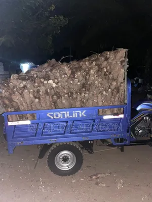Raw Cassava