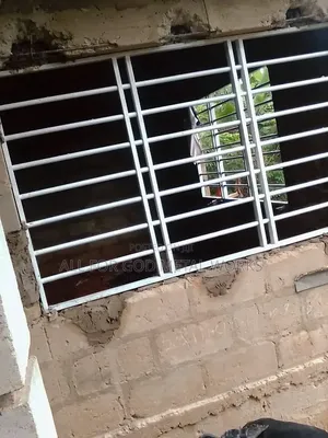 Metal Window Protection