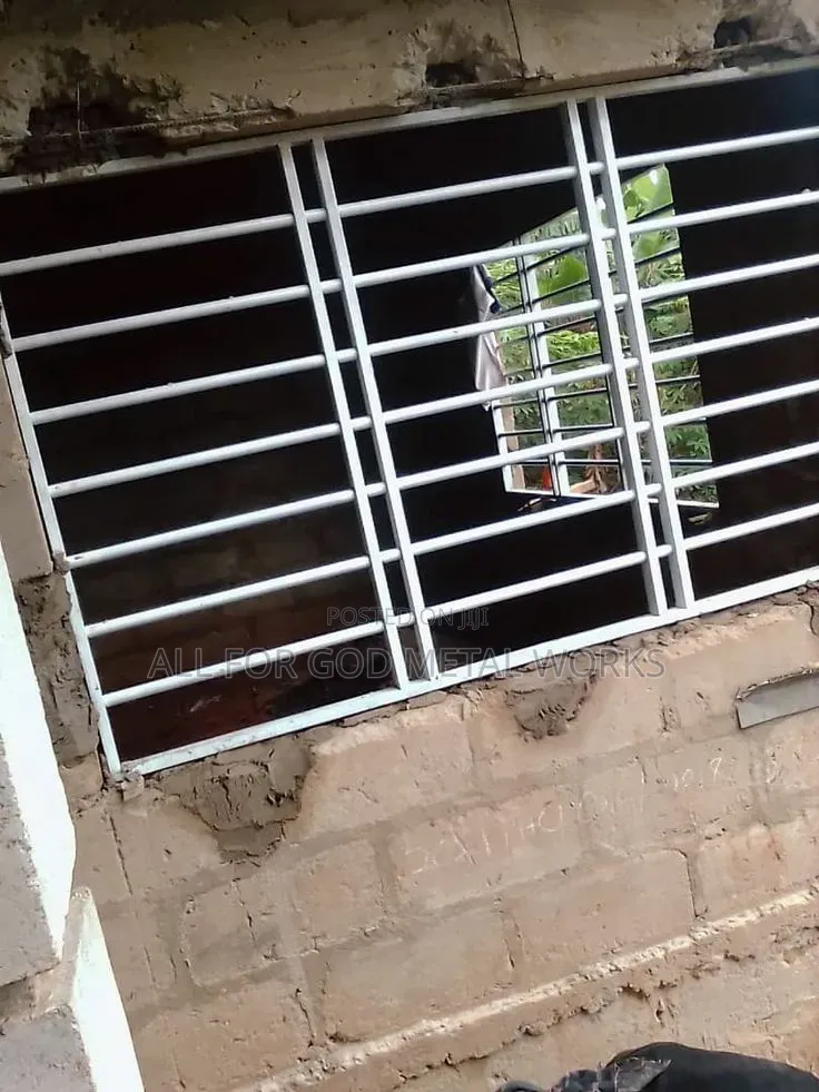 Metal Window Protection