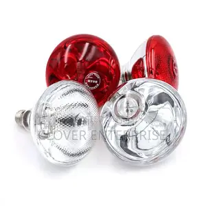 Brooding/ Heat Bulb