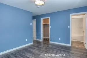Professional Painter