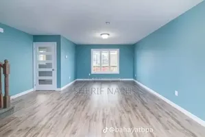 Professional Painter