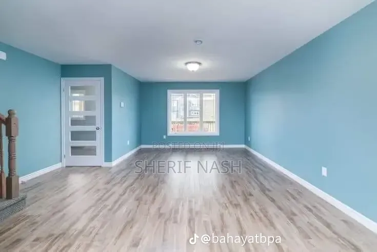 Professional Painter