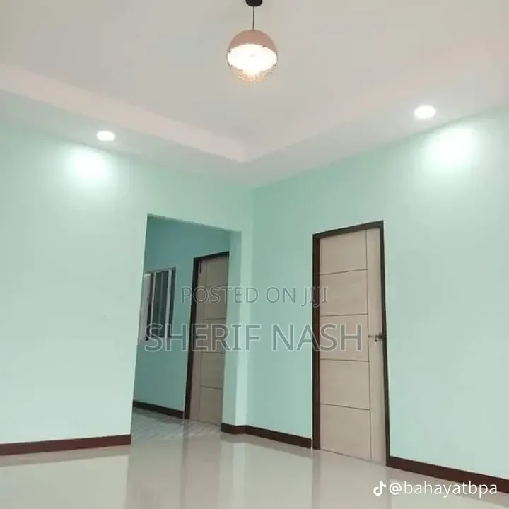 Professional Painter