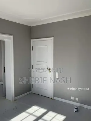 Professional Painter