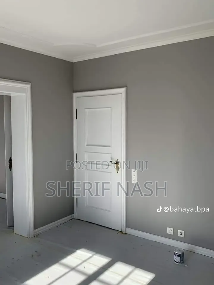 Professional Painter