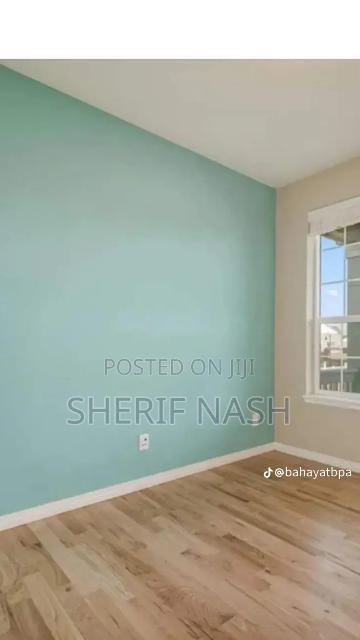 Professional Painter