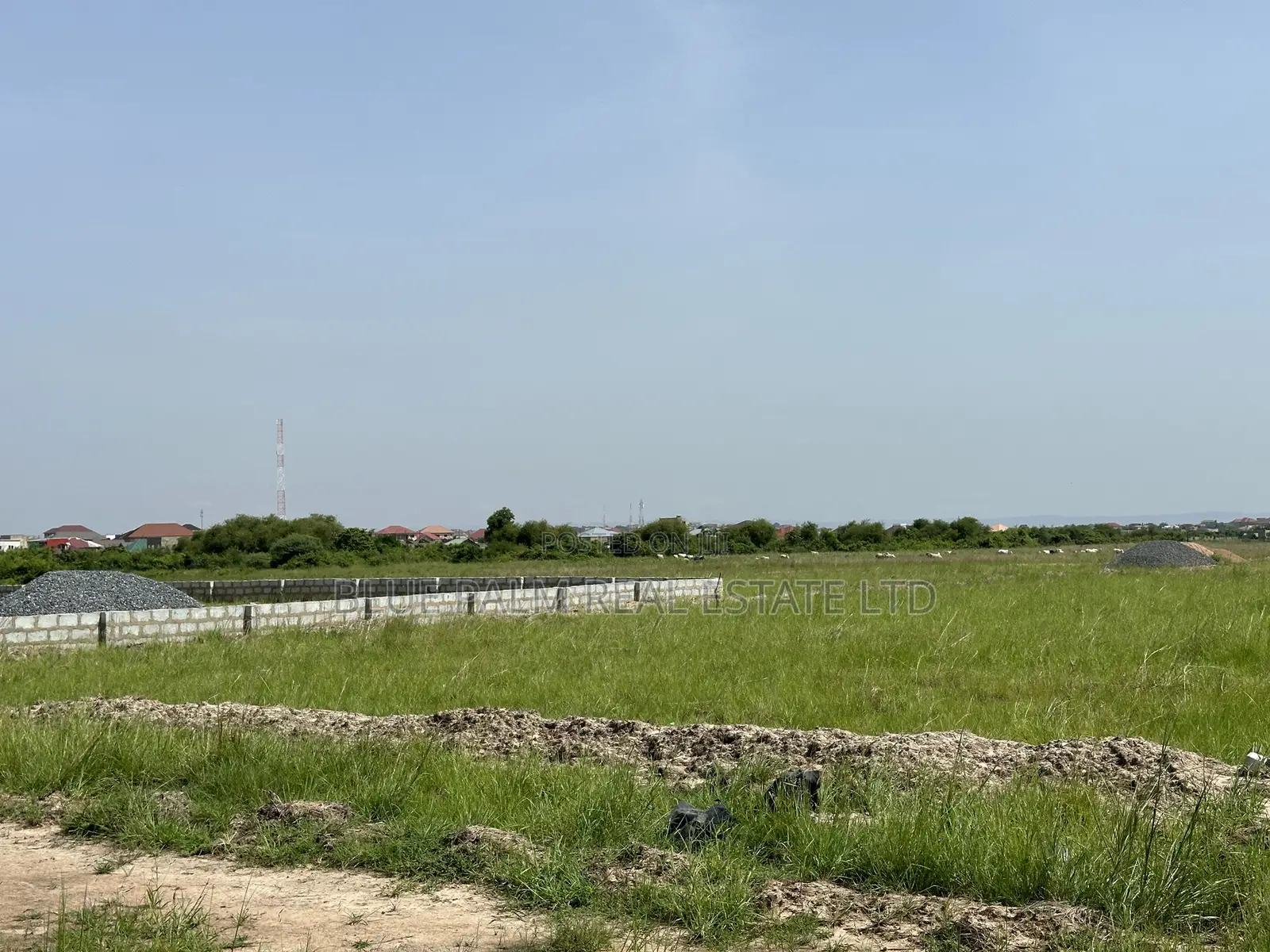 No Excuses, Own a Land This Year