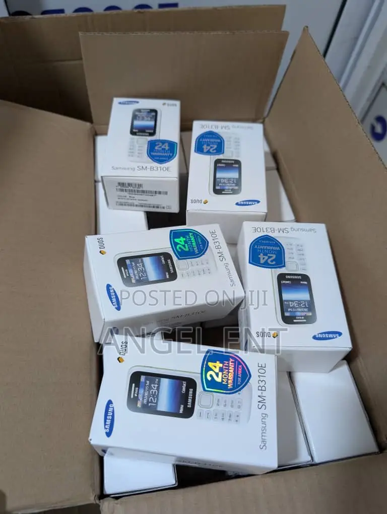 New Samsung B310 White