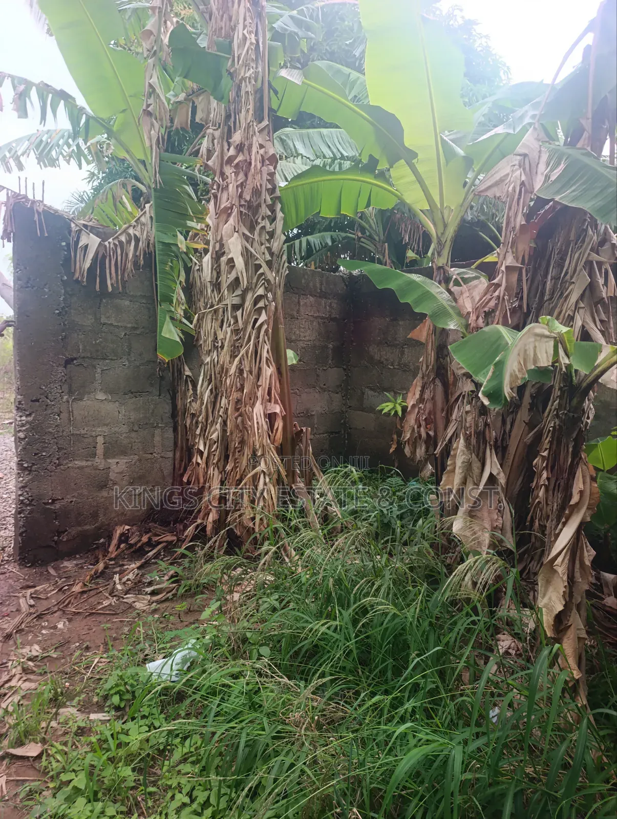 Half Plot for Sale at Pokuase Rocky Down