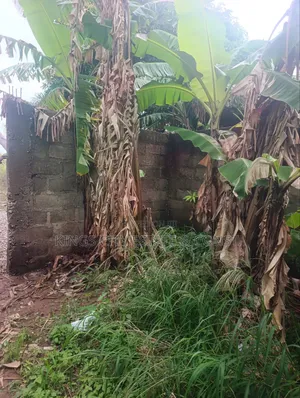 Half Plot for Sale at Pokuase Rocky Down