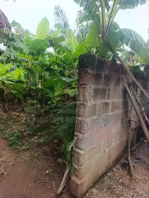 Half Plot for Sale at Pokuase Rocky Down