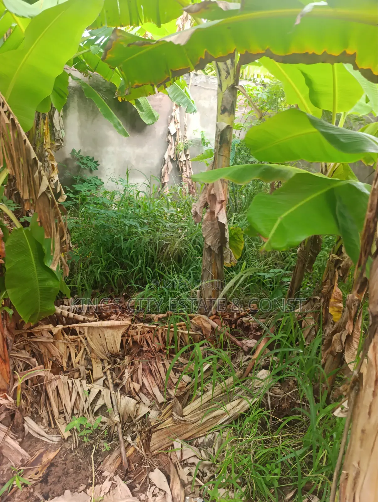 Half Plot for Sale at Pokuase Rocky Down